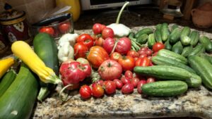 Garden Harvest Vegetables