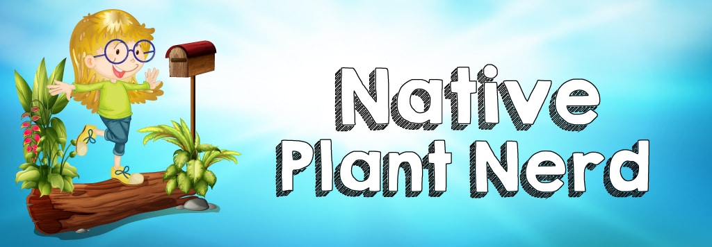 Plant Nerd – Illinois Dunesland Garden